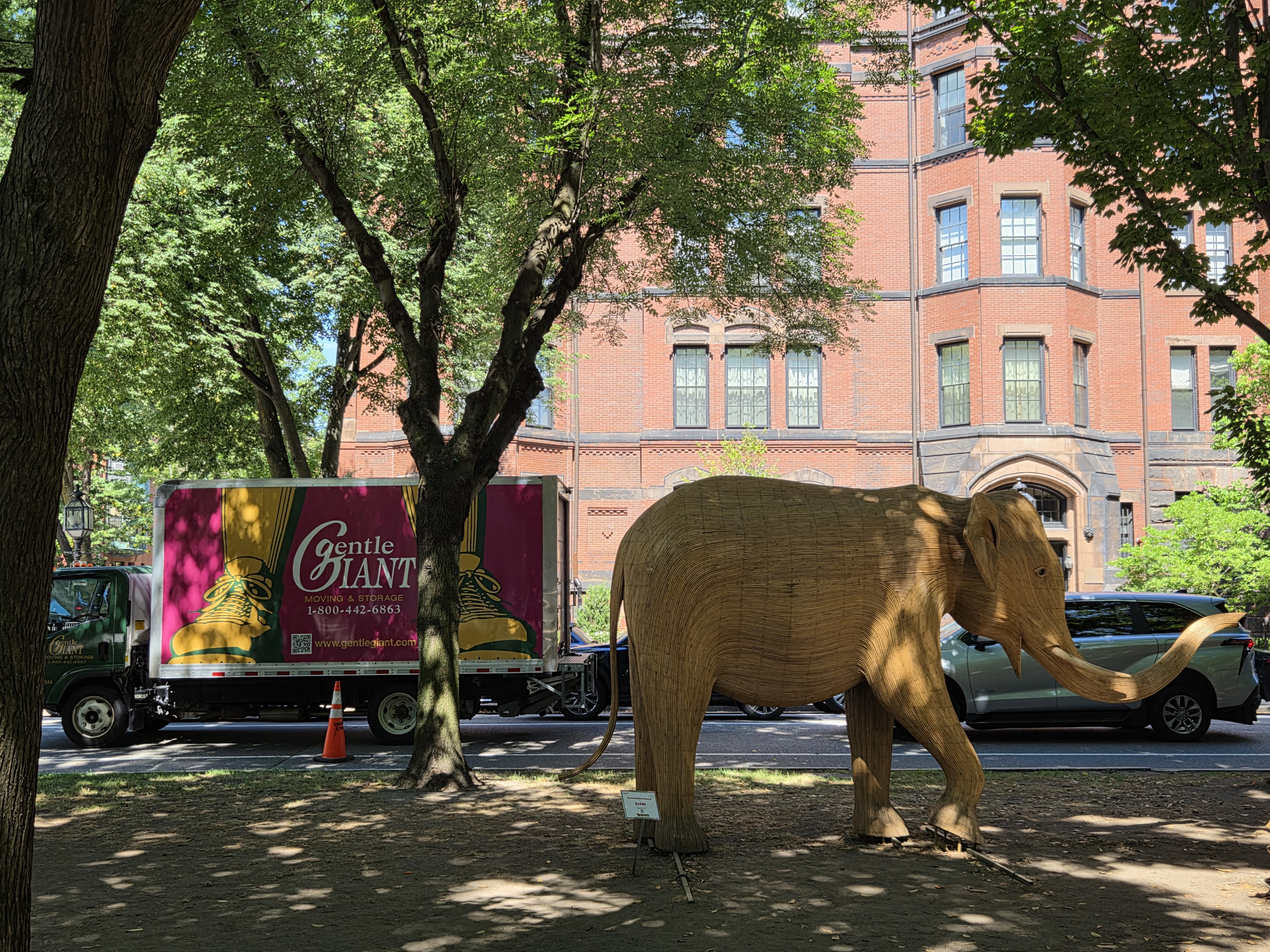 Elephants on Com Ave! – Georgeann Murphy
